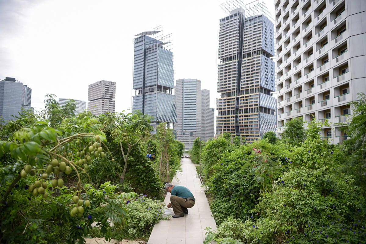 01042021rooftop_farm_raffles_city.png