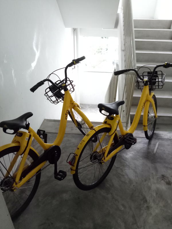 ofo.jpg