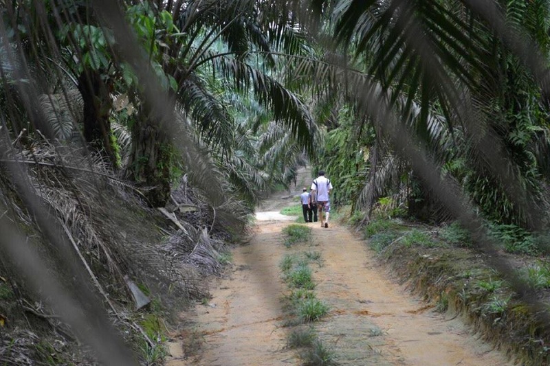 rural malaysia.jpg