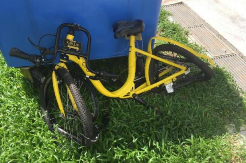 ofo 5.jpg