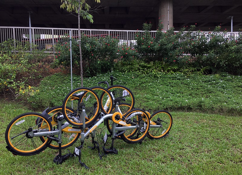 oBike-Anyhow Park.jpg