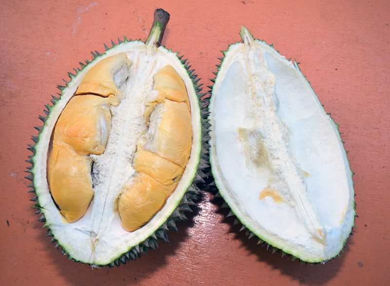 durian shell.jpg