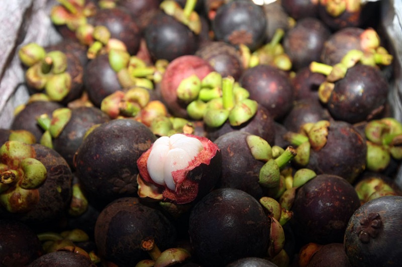 mangosteen.jpg