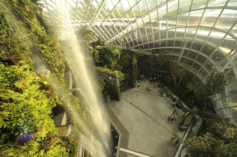 cloud forest waterfalls.jpg