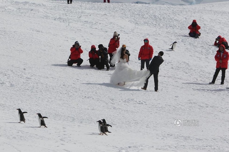 Antarctic wedding photo04.jpg