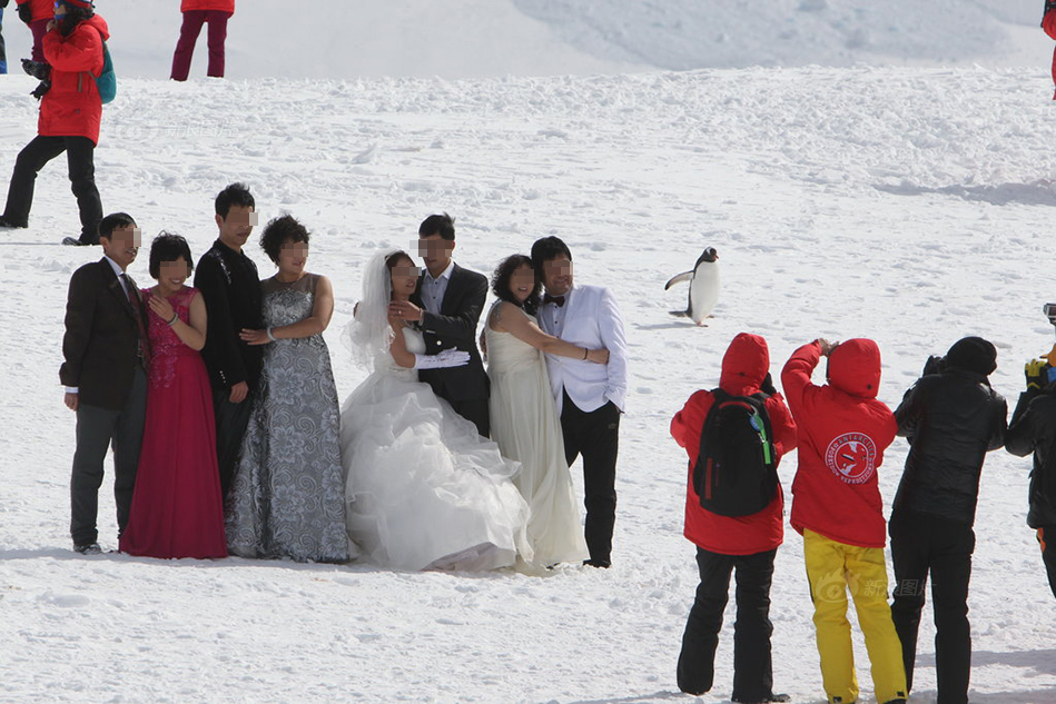 Antarctic wedding photos.jpg