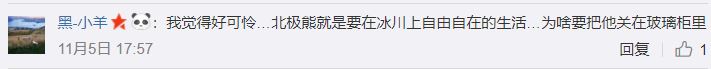 中国南宁海洋馆被指用棕熊假扮北极熊 寒冷中下巴狂颤目光呆滞