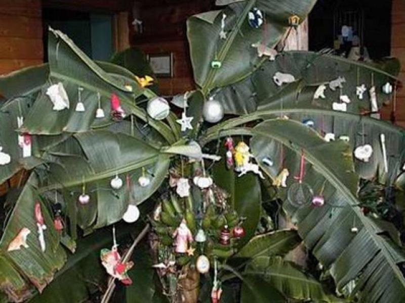 India Banana Christmas Tree.jpg