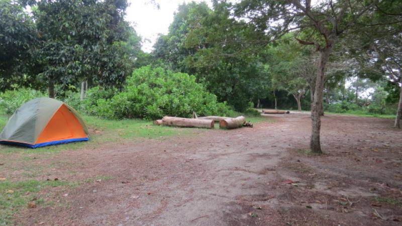 20190301-Jelutong Campsite.jpg