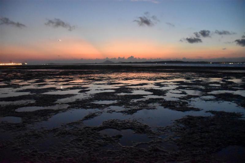 20190301-Pulau Ubin ChekJawa02.jpg