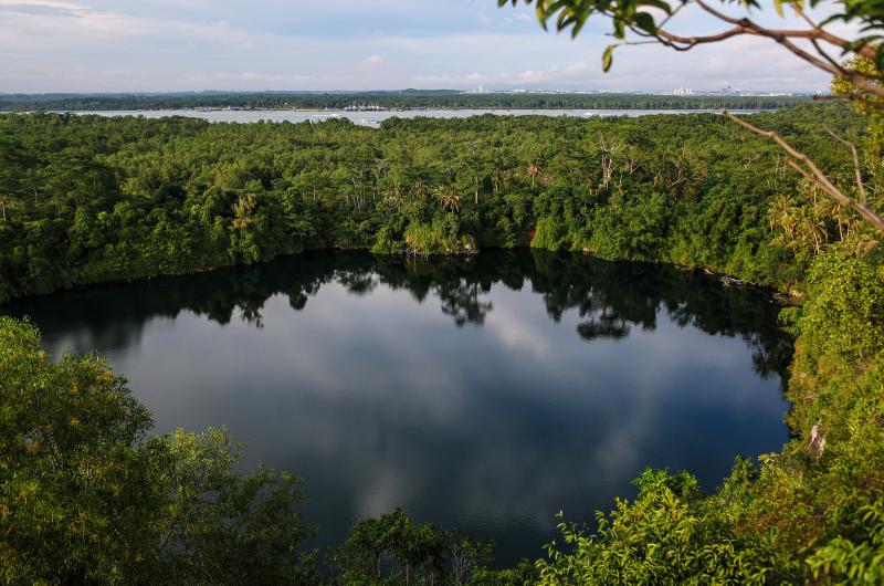 20190301-Pulau Ubin Puaka.jpg