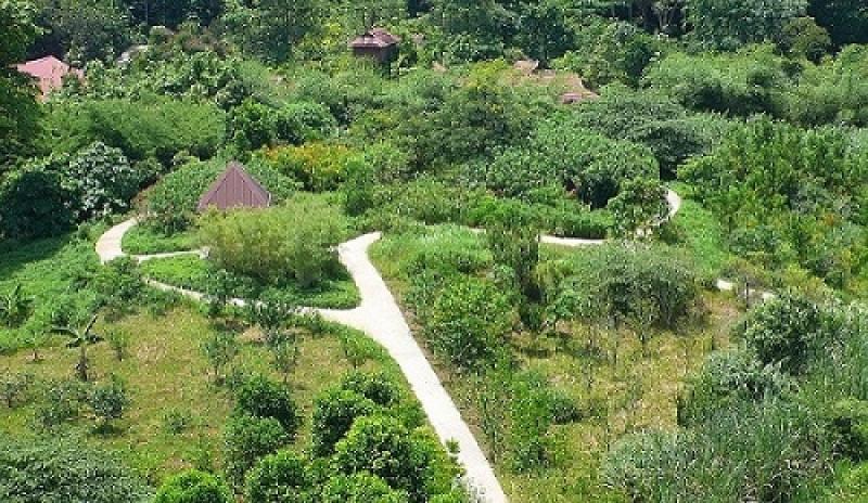 20190301-Pulau Ubin View of Butterfly Hill.jpg