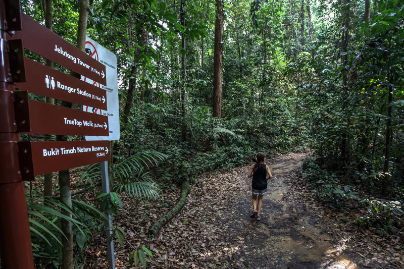 150319 shanghai yeye macritchie.png