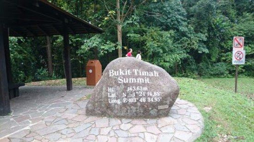 220319 school holiday bukit timah summit.jpg