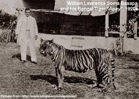 william-lawrence-soma-basapa-and-his-bengal-tiger.jpg