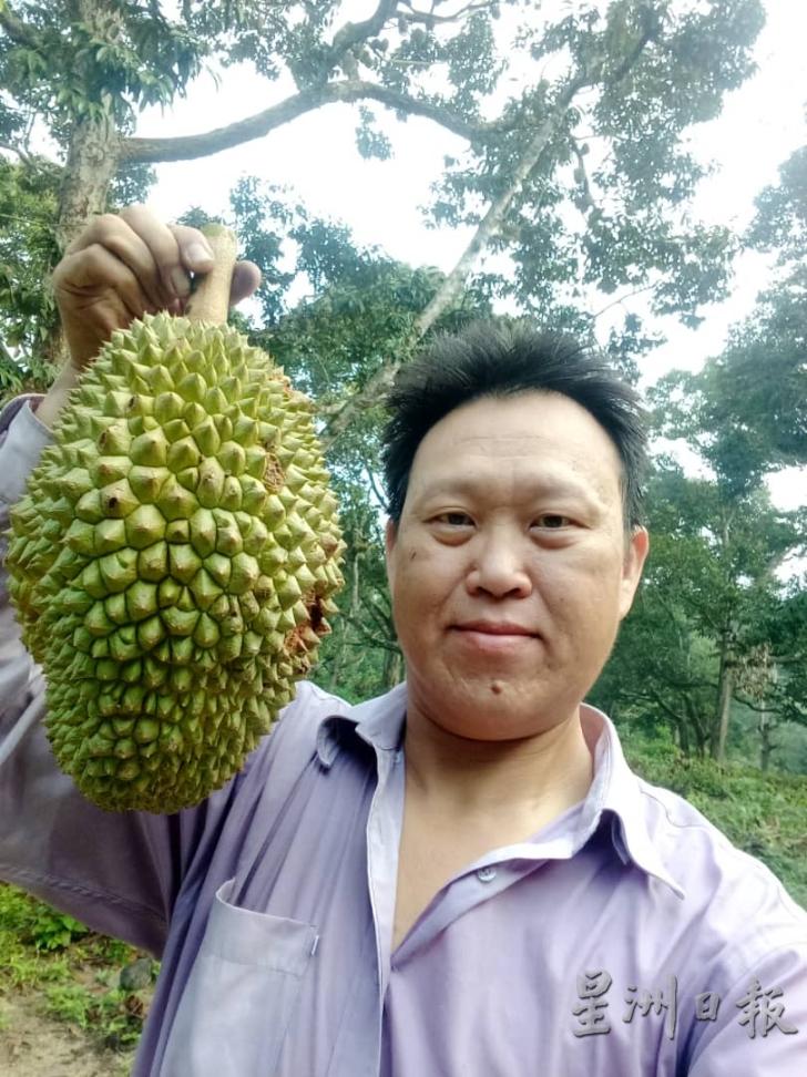 050719 ant durian.jpg