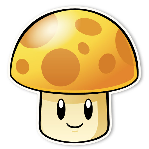 20191107 sunshroom.jpg