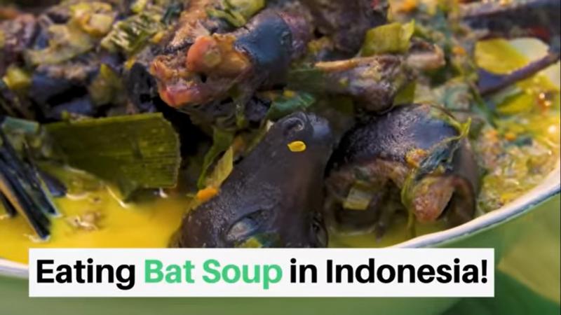 20200130-bat soup.jpg