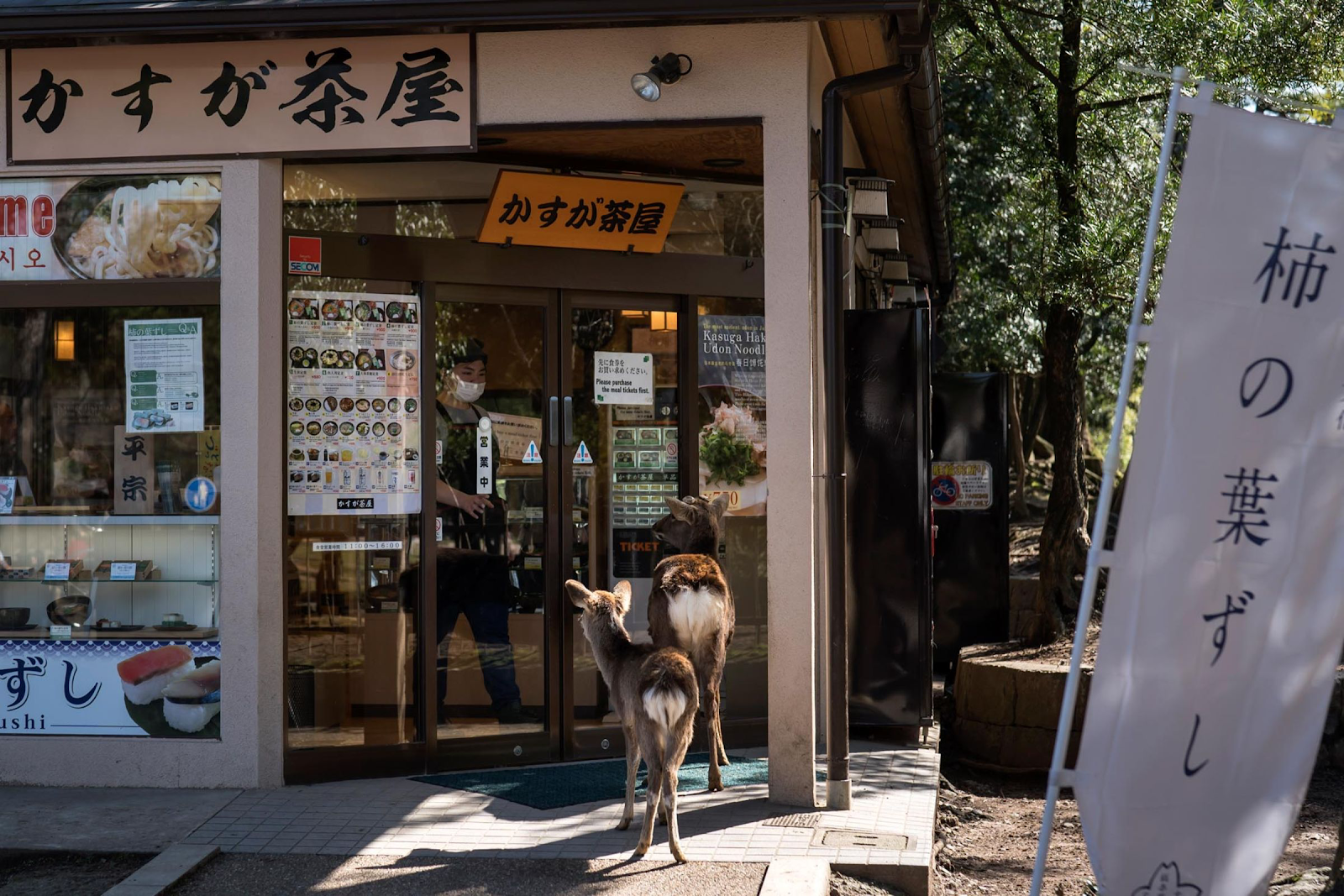 20200413-nara deer1.png