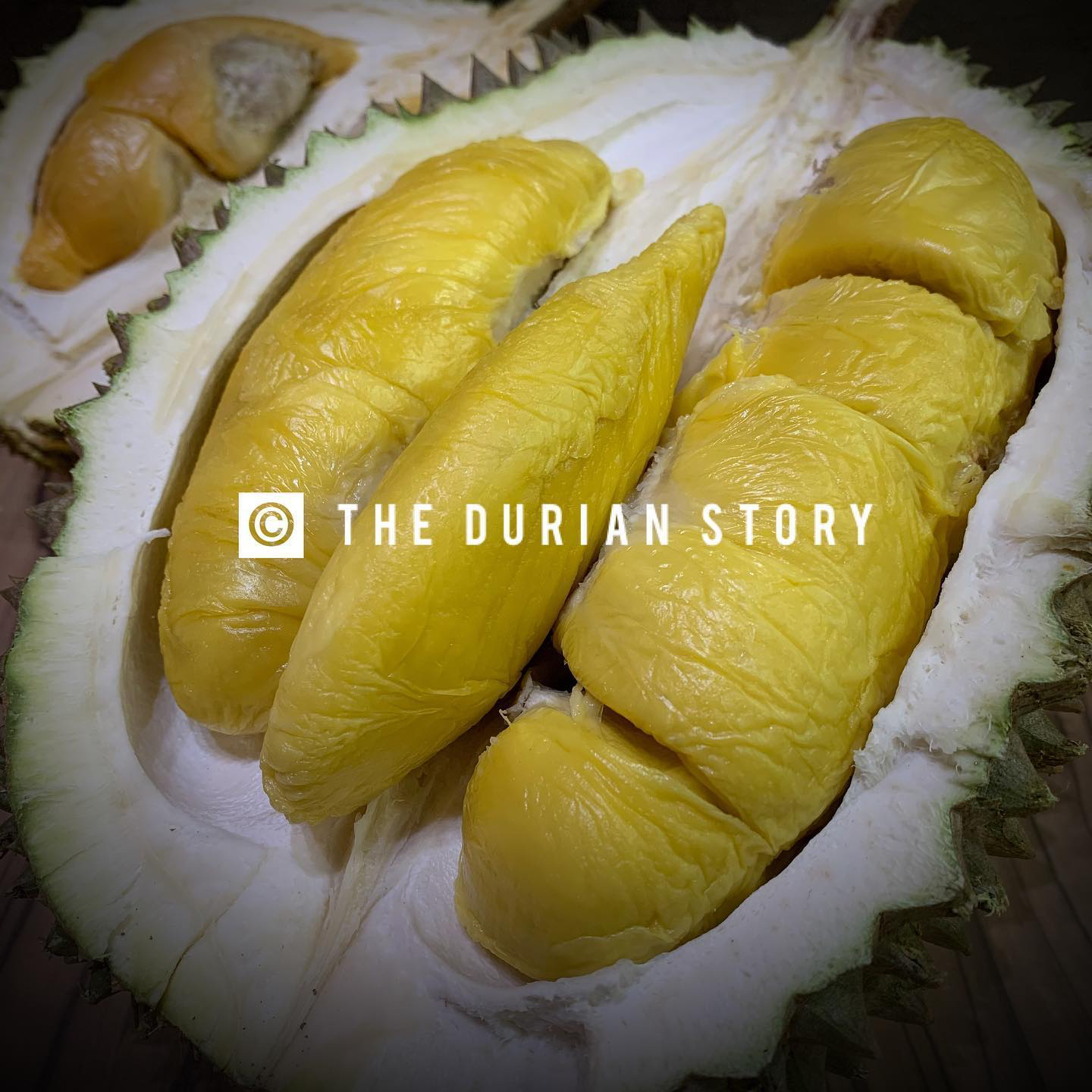 20200608-the durian story.png