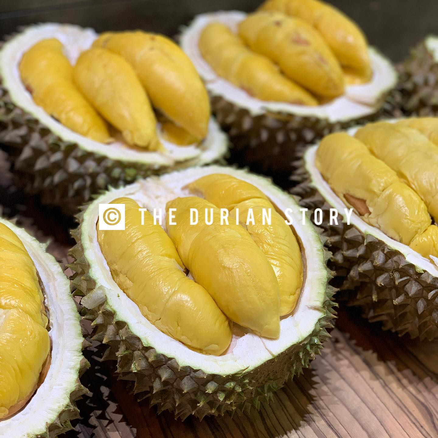 20200608-the durian story2.png