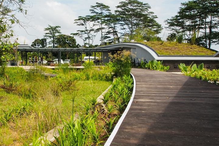 20200619kranji marshes.jpg