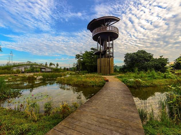 20200619kranji marshes3.png