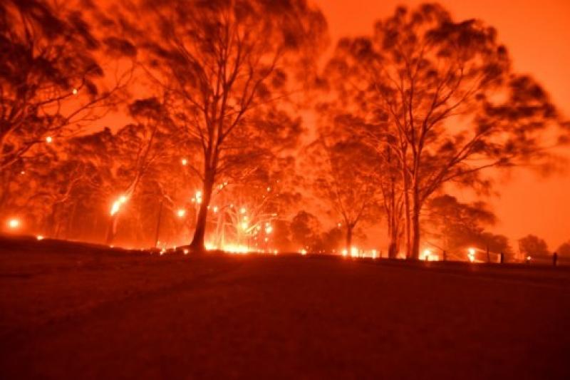 20200730-Australia BUsh Fires.jpg