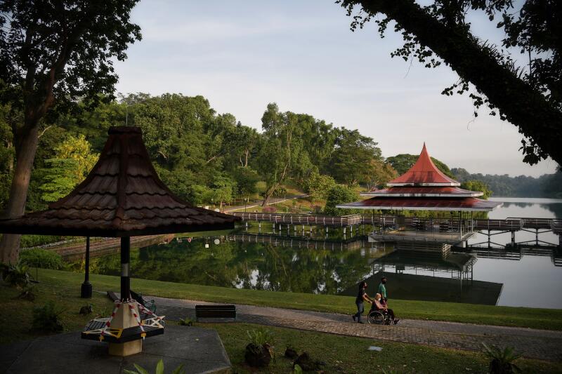 20201103 - MacRitchie Reservoir.jpg