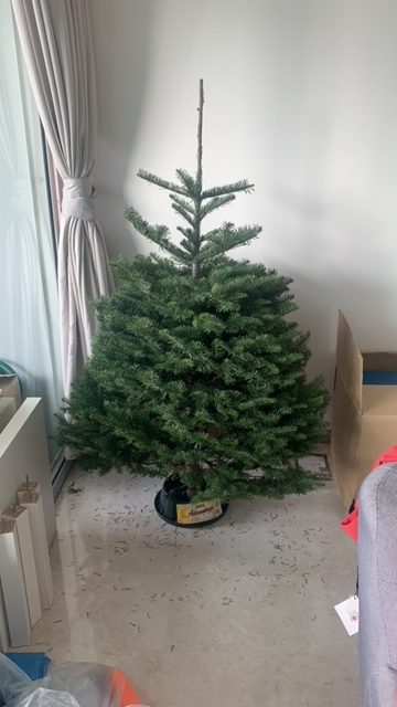 20201207christmas tree.jpeg