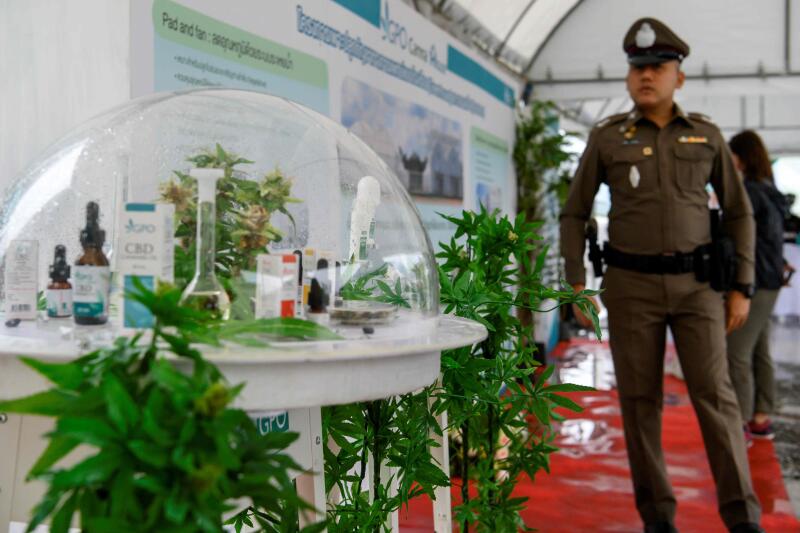 20201209-Thai Cannabis AFP.jpg