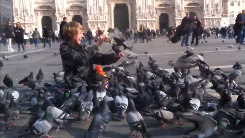 20210119-feed pigeons Milan Duomo.png