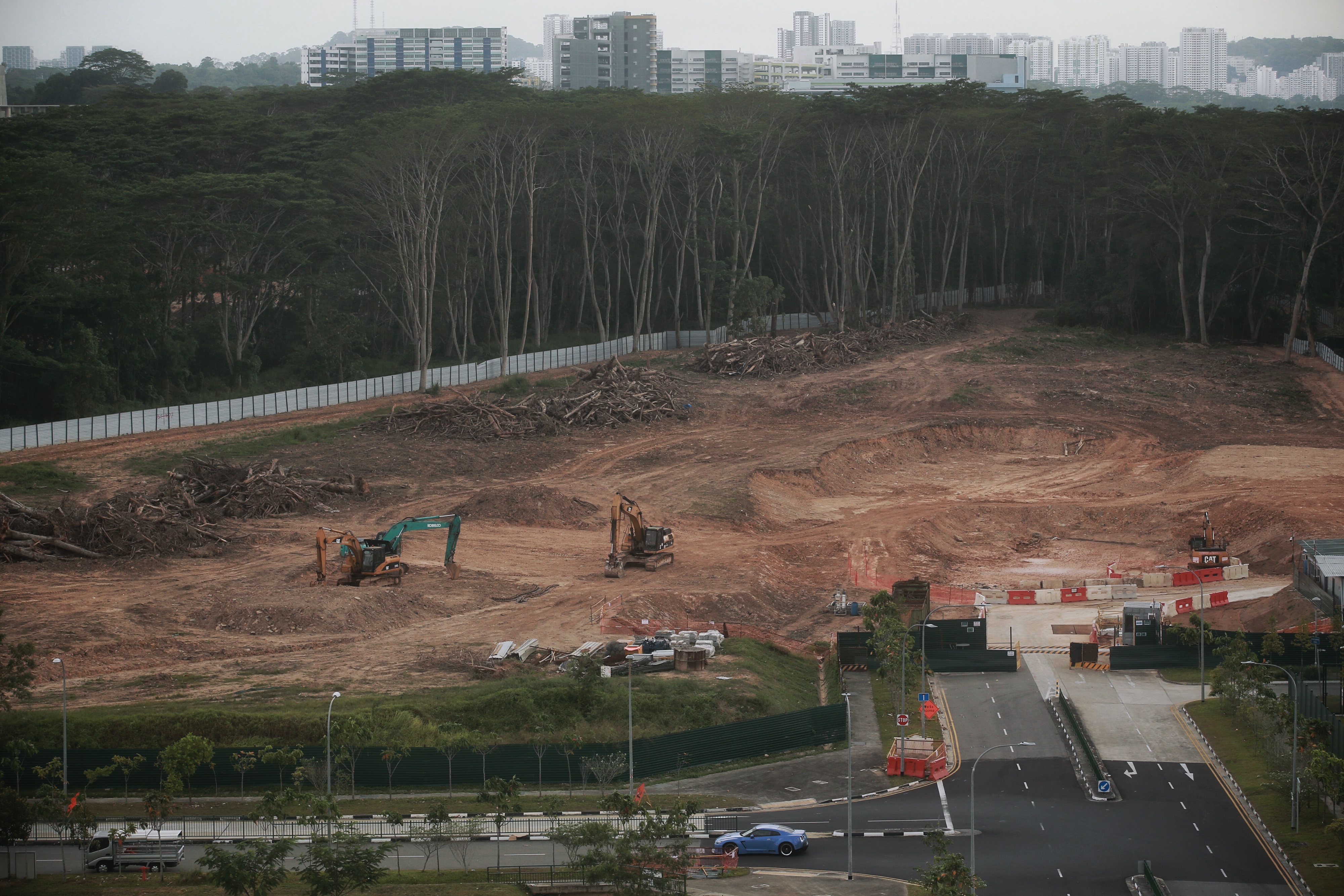 05032021 kranji forest cleared.jpg