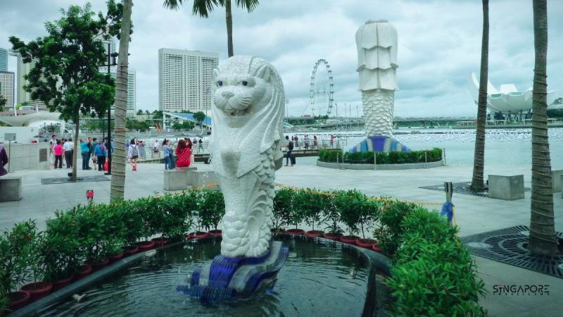 20210324 merlion cub.jpg