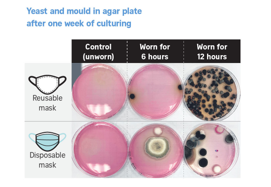 20210412-yeast.png