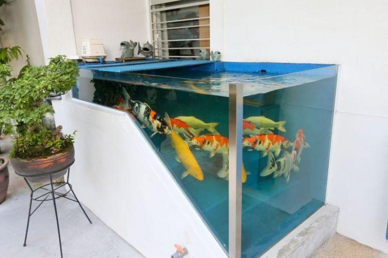 20210827-fish tank no more.jpg